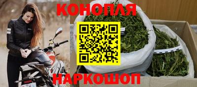 молекула духа Бердск