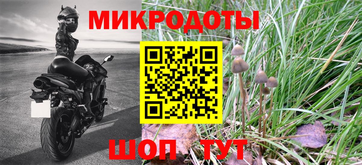 Псилоцибиновые грибы мицелий  купить наркотик  Туапсе  Вход с VPN 